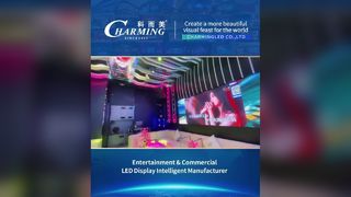 Развлекательное мероприятие, серия 25