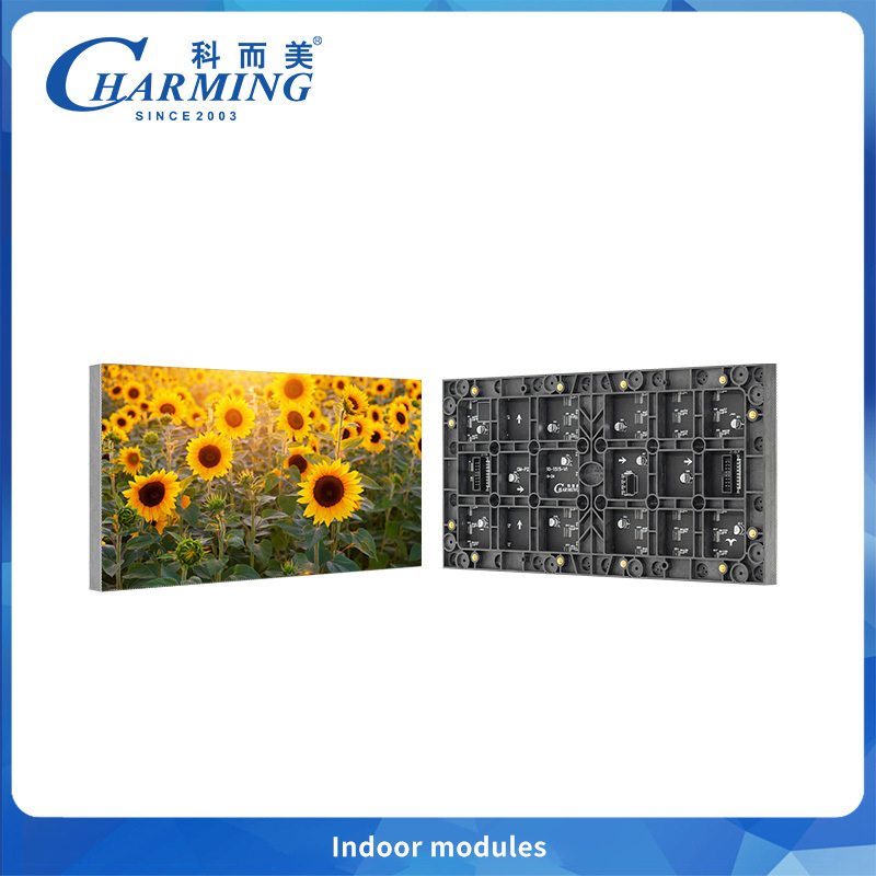 Maximum Value P2.5 Indoor Module -High Performance At 24W Power Consumption for bar & meetting room